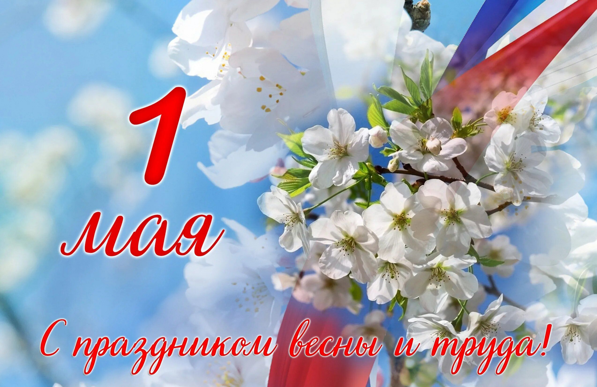 «Чеховка» поздравляет читателей с Днём Весны и Труда!
