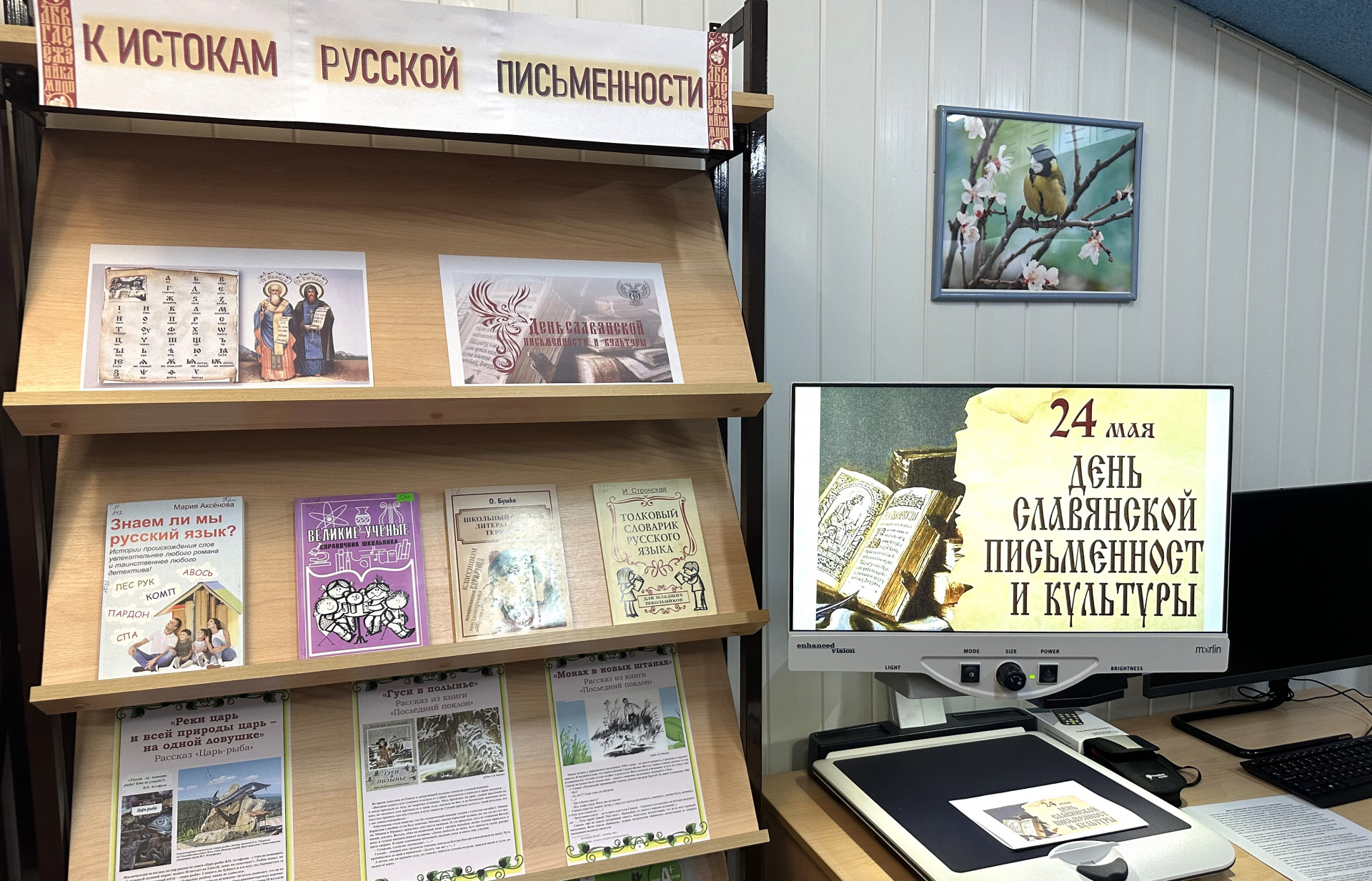 Читатели в филиалах «Чеховки» отметили День славянской письменности и культуры 